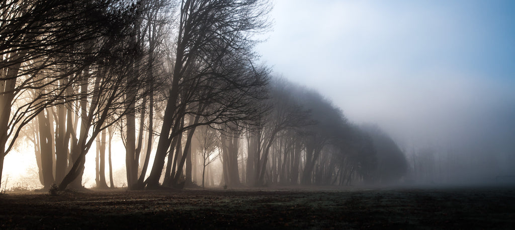 V78 Foggy Morning DSC5476 - Kevin Hartman